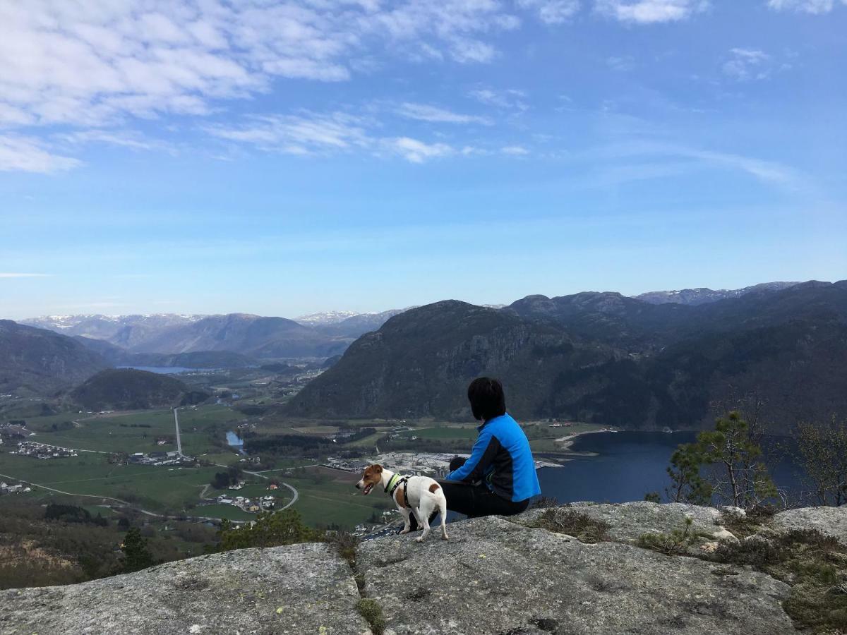 Hjelmeland Fjord Road 아파트 외부 사진